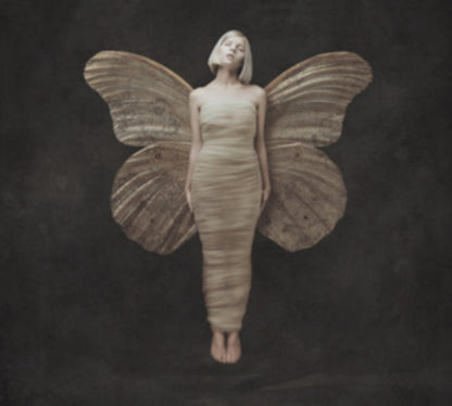 This is a 2 LP Vinyl SKU bundle.
1.This LP Vinyl is brand new.Format: LP VinylMusic Style: Indie PopThis item's title is: All My Demons Greeting Me As A Friend (Opaque Yellow LP Vinyl)Artist: AuroraBarcode: 602455644732Release Date: 10/27/2023
2.This LP Vinyl is brand new.