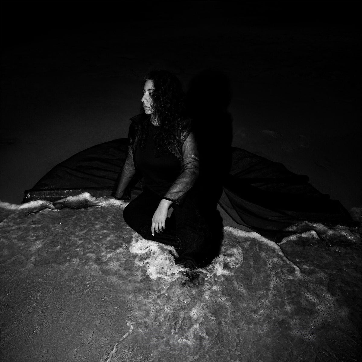 Vulture Prince (Deluxe Edition/2LP) & Night Reign