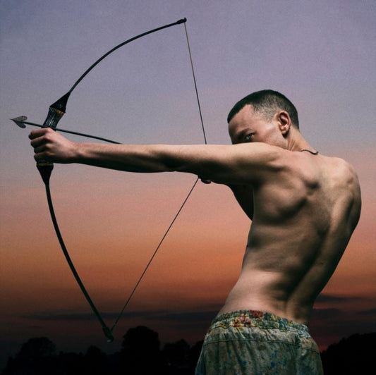 This CD is brand new.Format: CDMusic Style: Dance-popThis item's title is: PolariArtist: Olly AlexanderLabel: PolydorBarcode: 602465576085Release Date: 2/7/2025