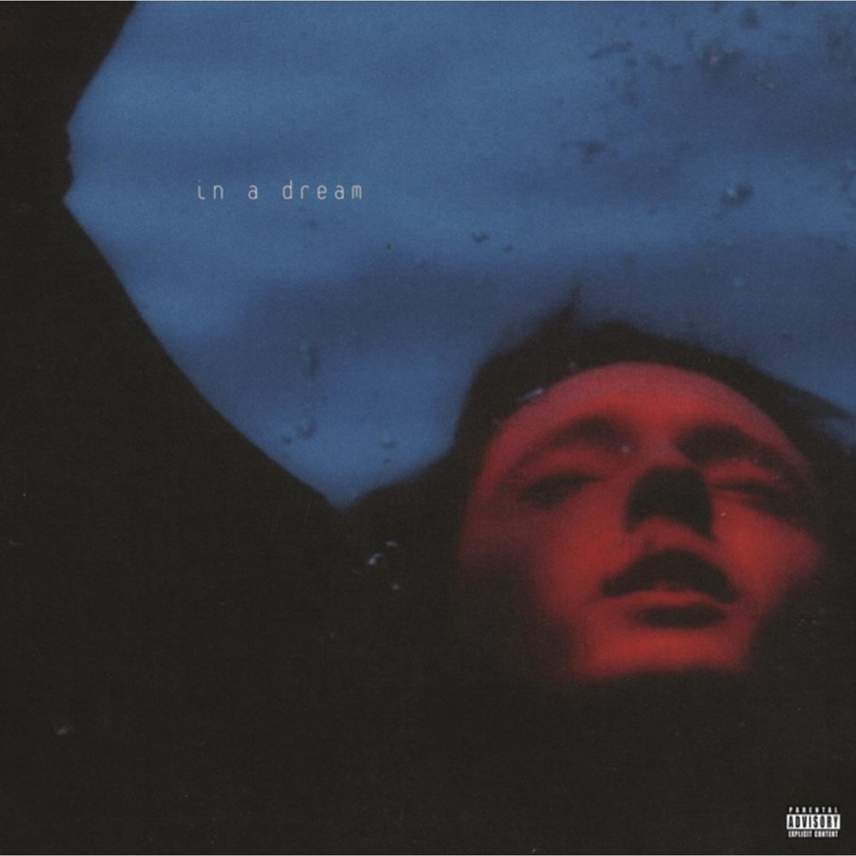 Something To Give Each Other (X) & In A Dream (5 Year Anniversary) (Red/Blue Swirl LP Vinyl/Ep) & In A Dream (Ep) (Light & Dark Blue Splatter LP Vinyl/180G) & Bloom