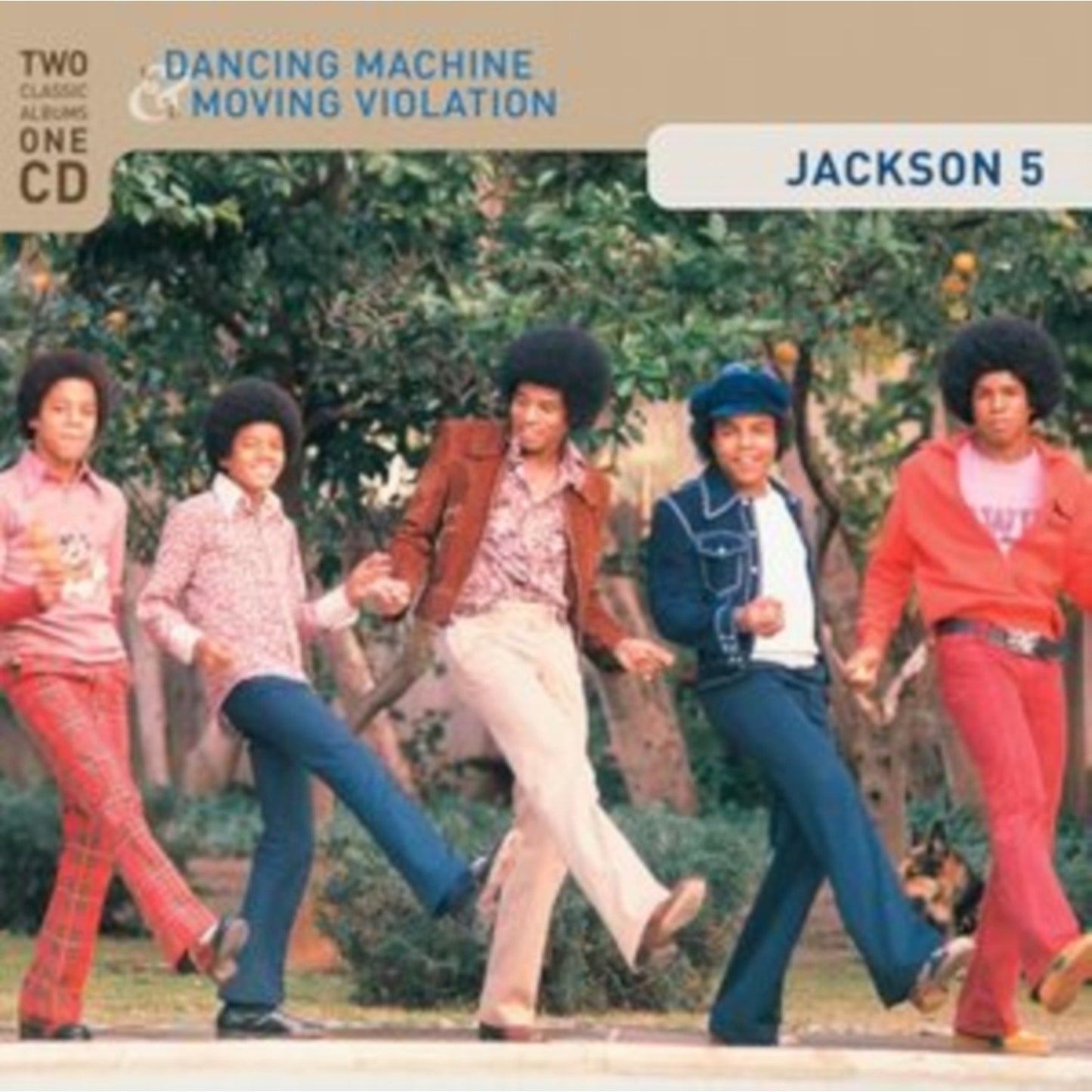 Dancing Machine & Moving Violation