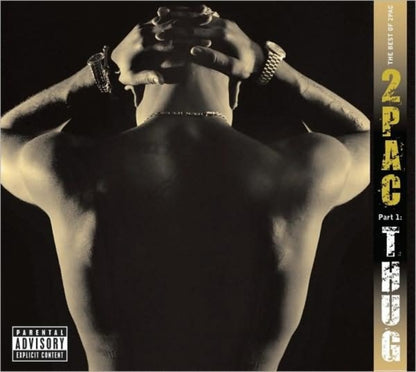 R U Still Down & 2Pacalypse Now & Me Against World & Best Of 2Pac Part 1: Thug & Greatest Hits & Greatest Hits