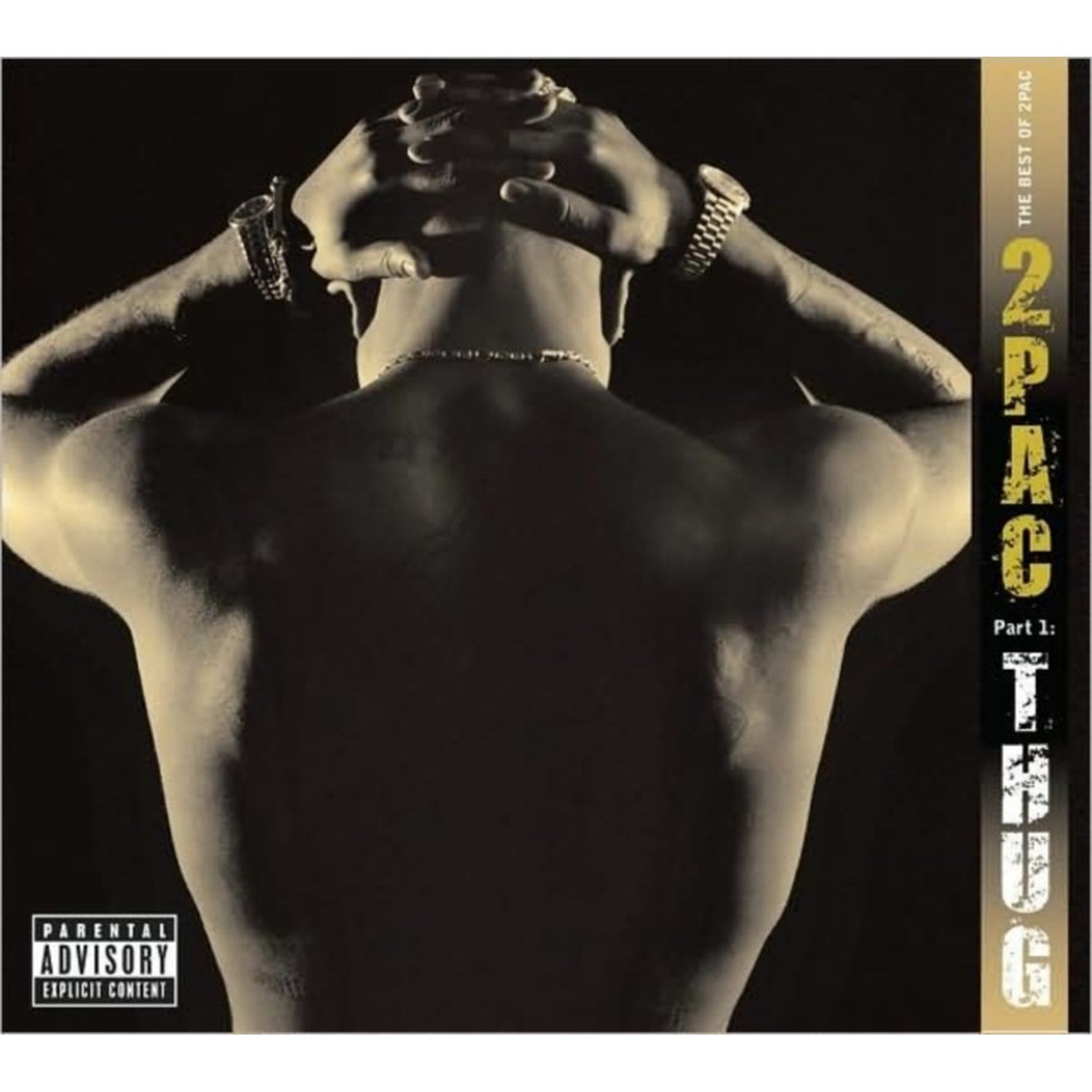 R U Still Down & Me Against World & Best Of 2Pac Part 1: Thug & Greatest Hits
