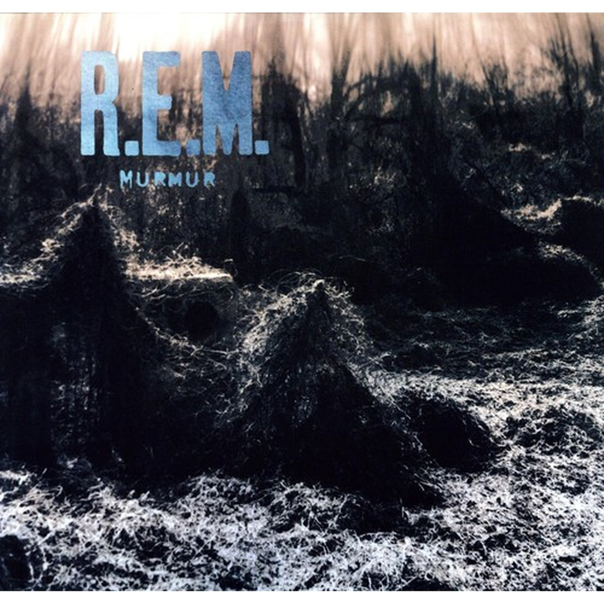 Murmur & Reckoning & Chronic Town & Lifes Rich Pageant & Eponymous & Monster