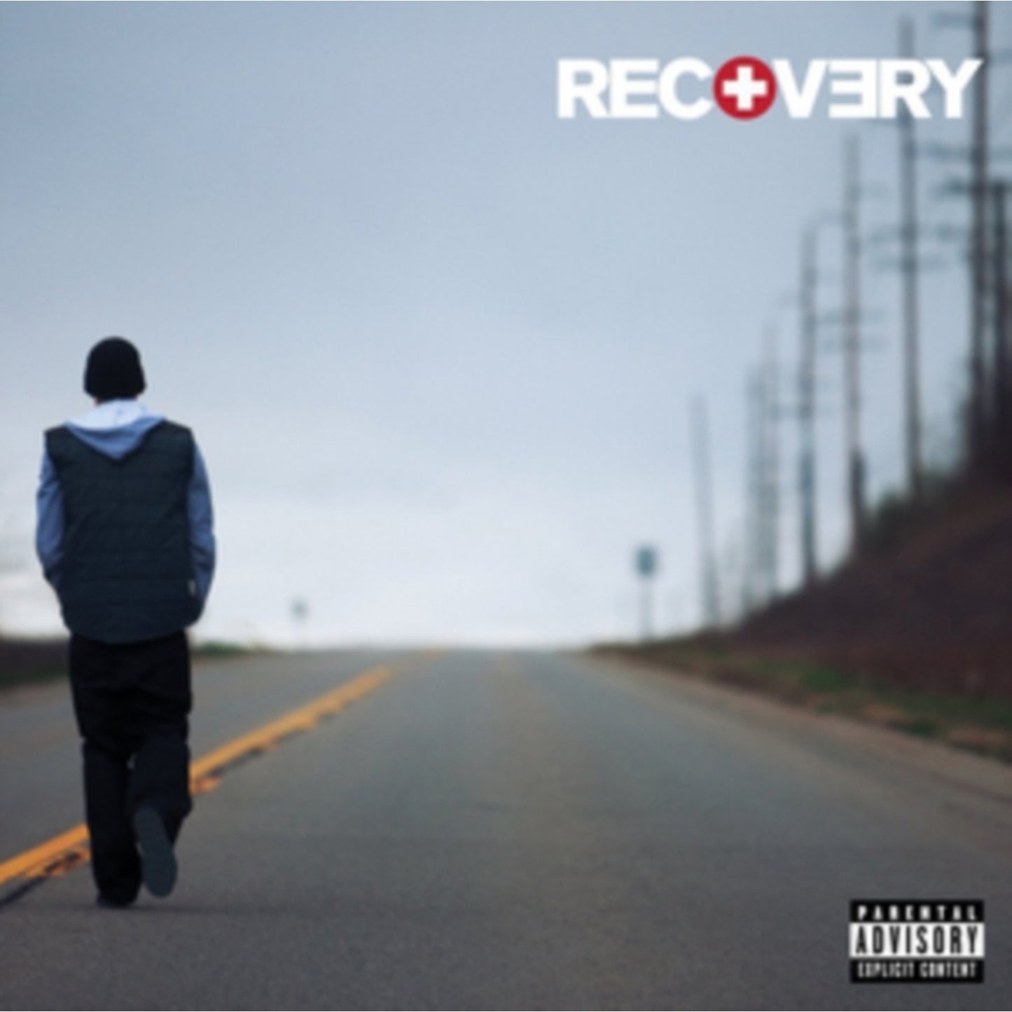 Curtain Call 2 (2LP) & Marshall Mathers LP2 (10Th Anniversary Edition) (Expanded Deluxe/4LP) & Encore & Curtain Call: Hits & Recovery & Marshall Mathers LP 2 & Kamikaze (Opaque Olive Green LP Vinyl/Gatefold Jacket) & Slim Shady LP & Eminem Show