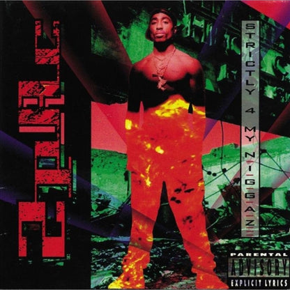 Until The End Of Time(X) (4LP) & Me Against The World (2LP) & 2Pacalypse Now & Strictly 4 My N.I.G.G.A.Z. (2 LP)