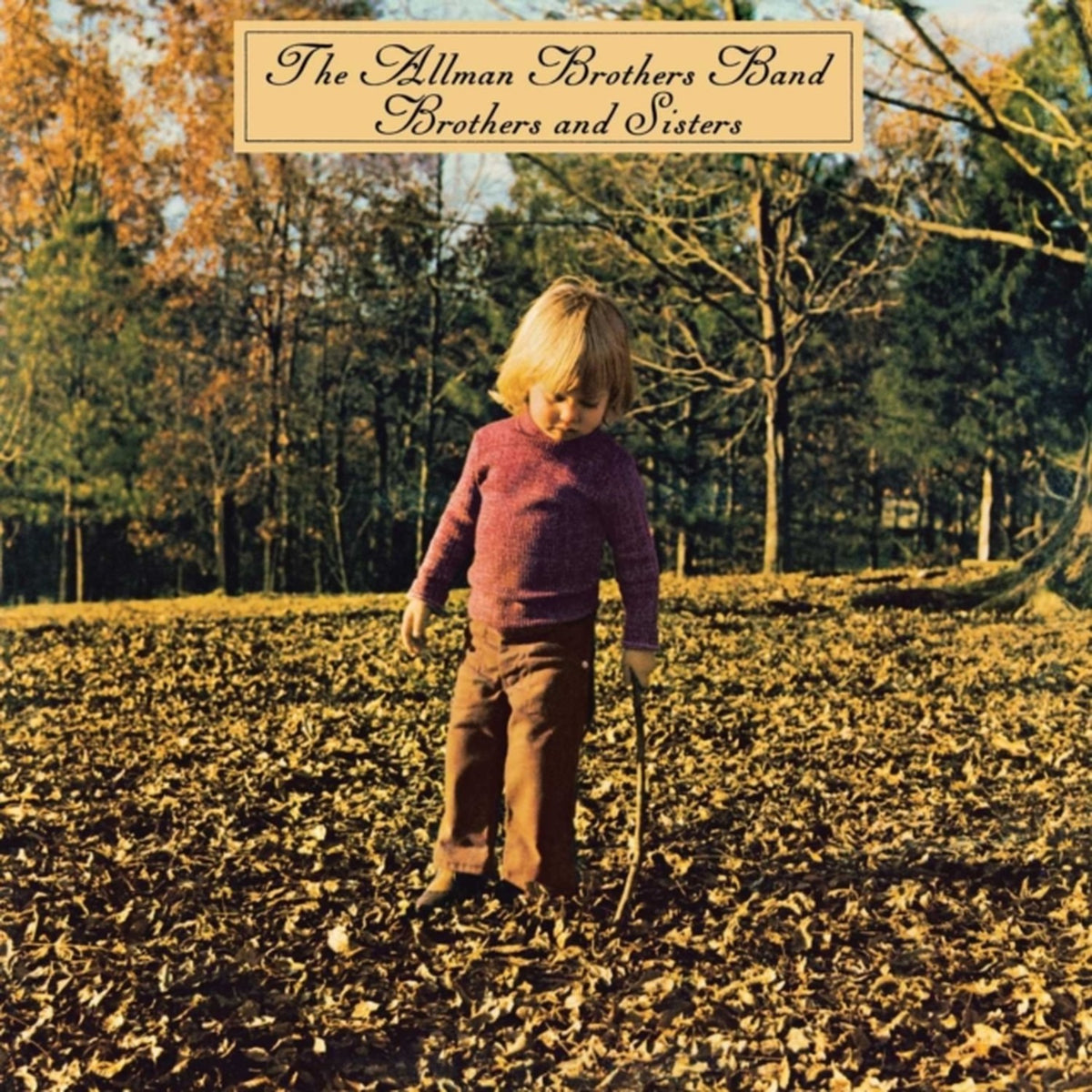 Live At Fillmore East & Brothers & Sisters & Eat A Peach (2LP) & Eat A Peach (Light Pink & Light Blue LP Vinyl) & Syria Mosque: Pittsburgh, Pa January 17, 1971 (Live) (Pittsburgh Steel Gray Vinyl/2LP)