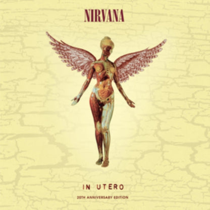 Incesticide (20Th Anniversary 45RPM Edition) & In Utero & Live At The Paramount (2 LP/180G) & Live At The Paramount (Transparent Orange Vinyl/2LP) & Unplugged In N.Y.