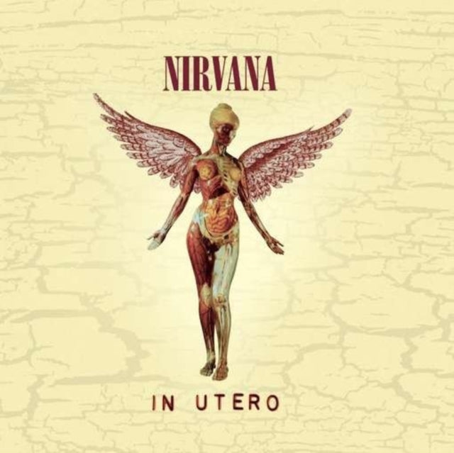 This is a 3 CD SKU bundle.
1.This CD is brand new.Format: CDMusic Style: Alternative RockThis item's title is: Live At ReadingArtist: NirvanaLabel: DGCBarcode: 602527203676Release Date: 11/3/2009
2.This CD is brand new.