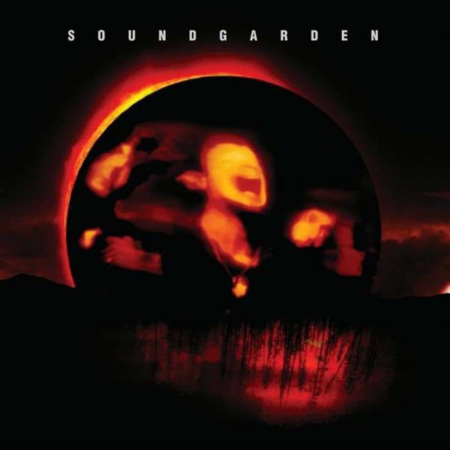 Louder Than Love & Superunknown