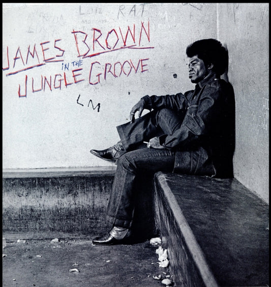 In The Jungle Groove