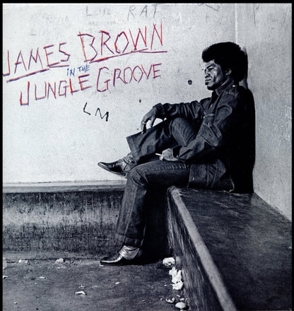 Live At Home With His Bad Self: The After Show & In The Jungle Groove