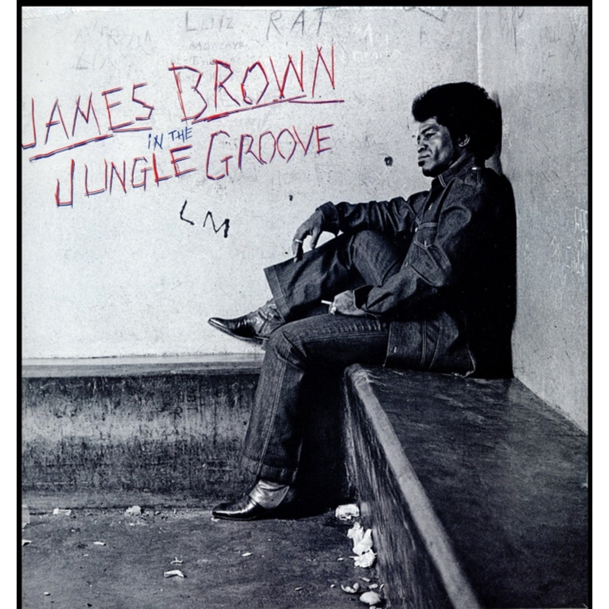 In The Jungle Groove