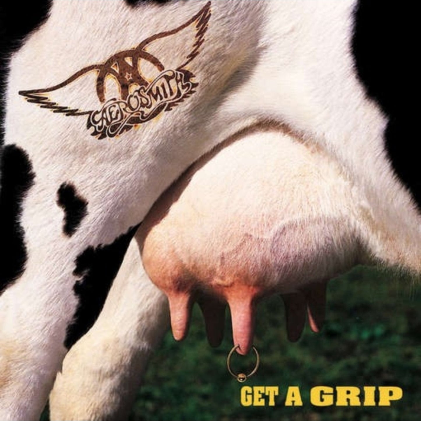 1971: The Road Starts Here & Greatest Hits & Live! Bootleg (2LP) & Get A Grip