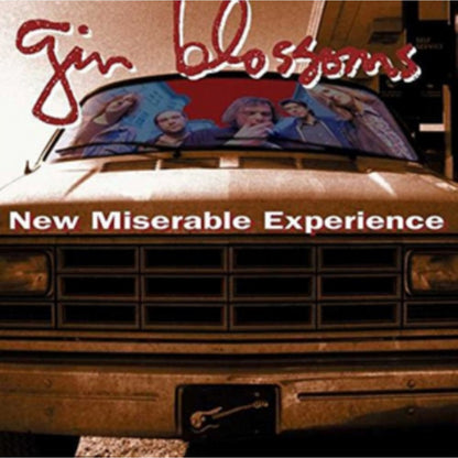 New Miserable Experience & Congratulations I'm Sorry