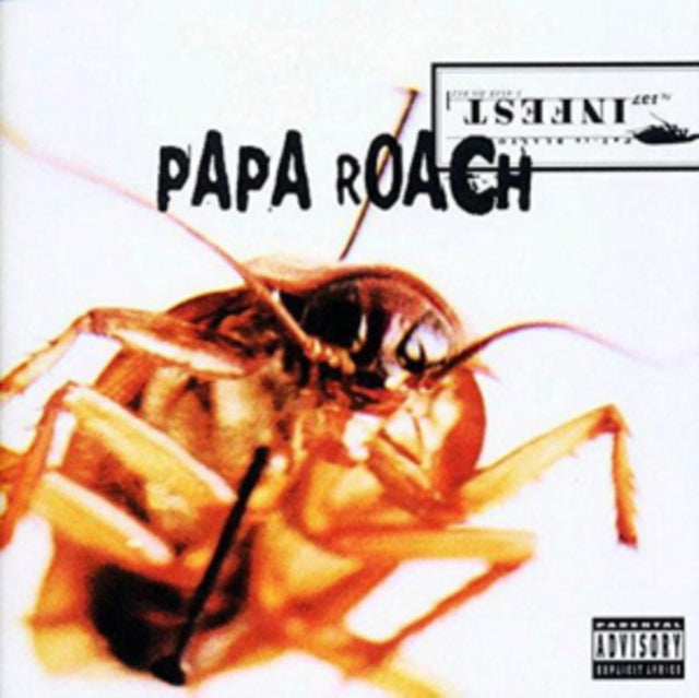 This is a 2 LP Vinyl SKU bundle.
1.This LP Vinyl is brand new.Format: LP VinylMusic Style: Alternative RockThis item's title is: Ego Trip (Blue Seaform Wave LP Vinyl/Transparent Yellow 7Inch)Artist: Papa RoachLabel: NEW NOIZE RECORDSBarcode: 190296235511Release Date: 11/25/2022
2.