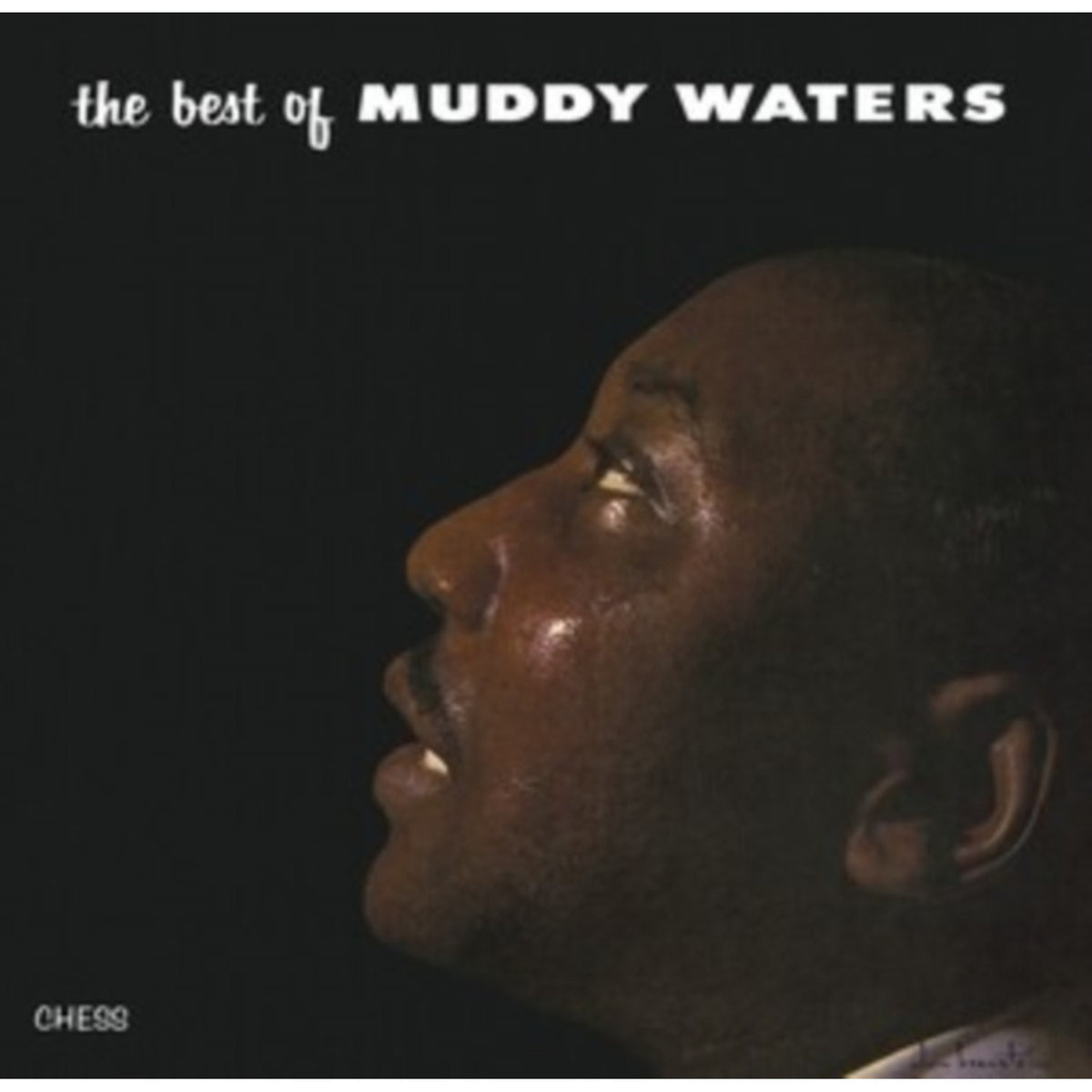 Best Of Muddy Waters