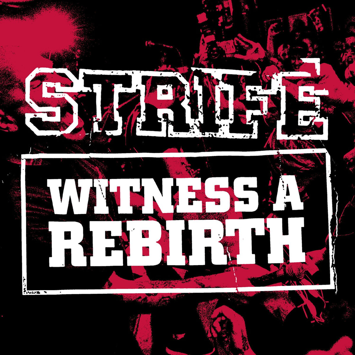 Witness A Rebirth