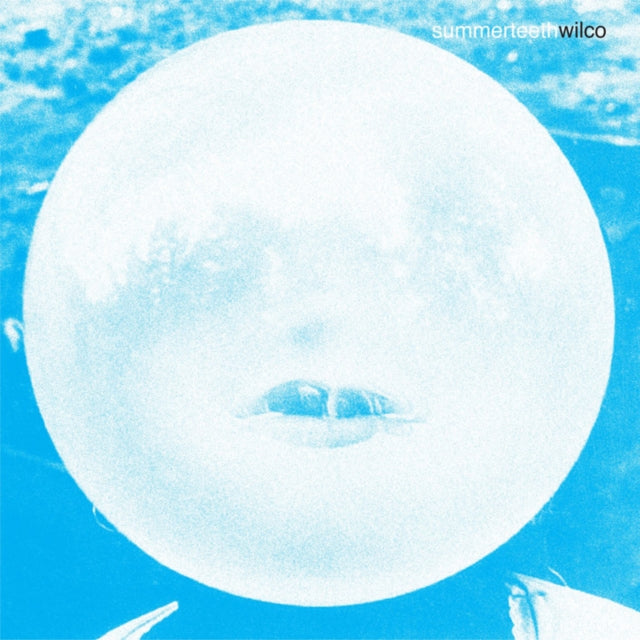 Summerteeth (Deluxe Edition/5LP)
