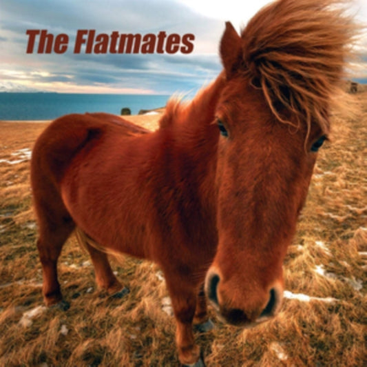 Product Image : This LP Vinyl is brand new.<br>Format: LP Vinyl<br>This item's title is: Flatmates<br>Artist: Flatmates<br>Label: HHBTM RECORDS<br>Barcode: 606822036410<br>Release Date: 5/8/2020