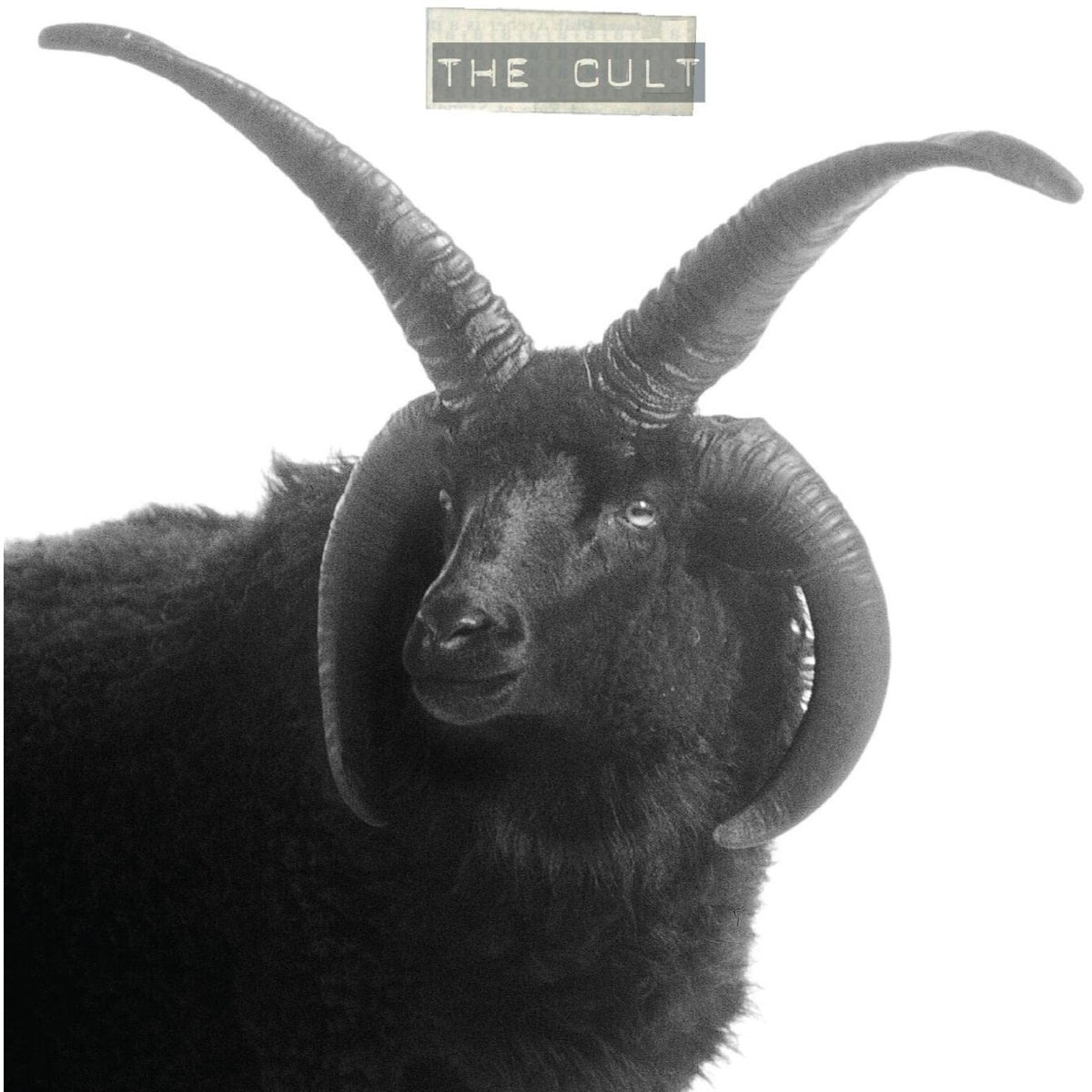 Cult (2LP)