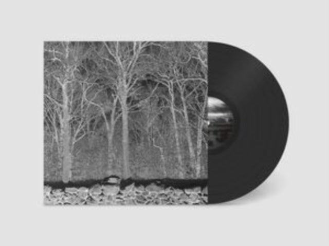 This LP Vinyl is brand new.Format: LP VinylThis item's title is: Sunshine & Balance BeamsArtist: PileBarcode: 617201805701Release Date: 8/15/2025