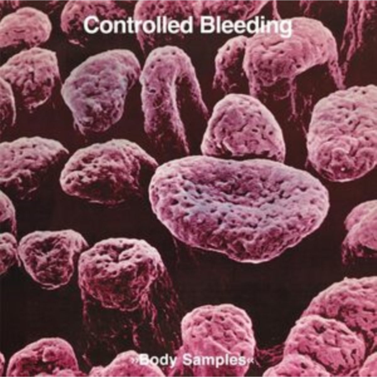Body Samples (Purple LP Vinyl)