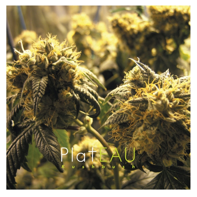 Kushbush (2LP)