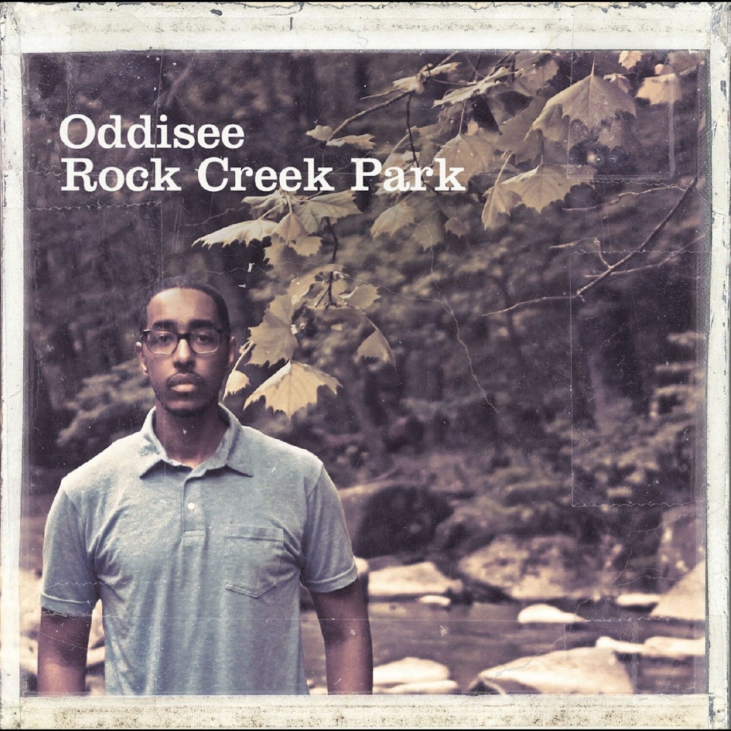 Rock Creek Park (Gold Forest LP Vinyl)
