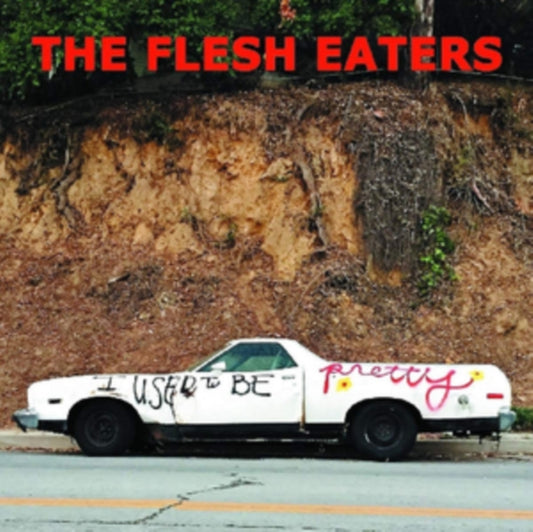 I Used To Be Pretty (2LP/Dl Code)