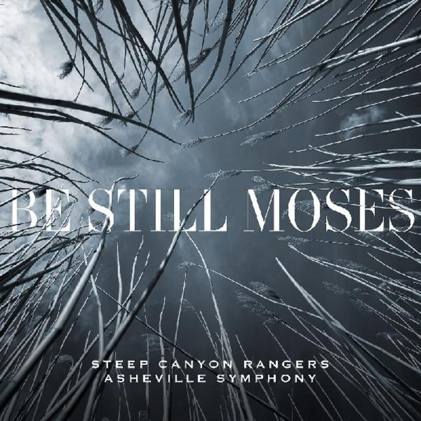 Be Still Moses (Transparent Blue LP Vinyl/Dl Card)