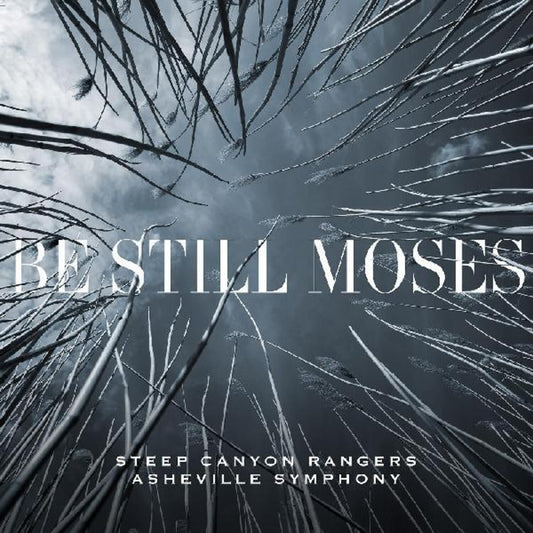 Be Still Moses (Transparent Blue LP Vinyl/Dl Card)