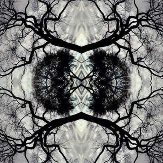 This CD is brand new.Format: CDMusic Style: ChansonThis item's title is: Sonic Mandala Go: Organic OrchestraArtist: Adam RudolphLabel: ColumbiaBarcode: 638977101729Release Date: 9/17/2013