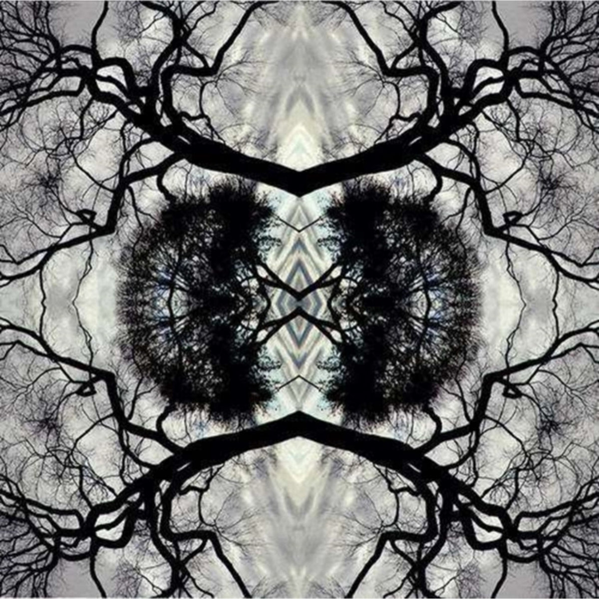 Sonic Mandala Go: Organic Orchestra