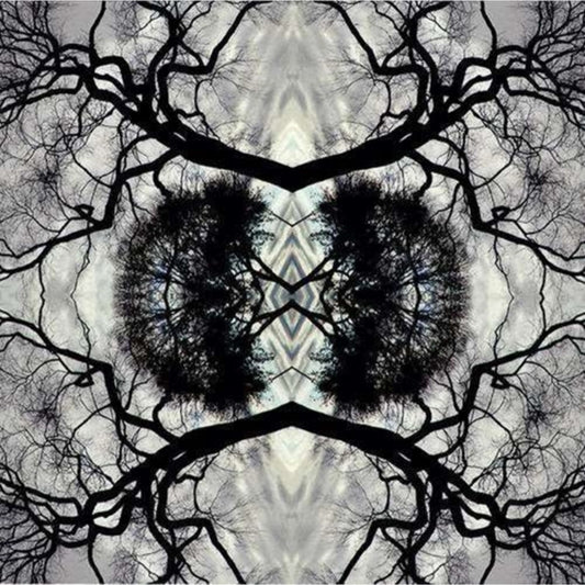 Sonic Mandala Go: Organic Orchestra