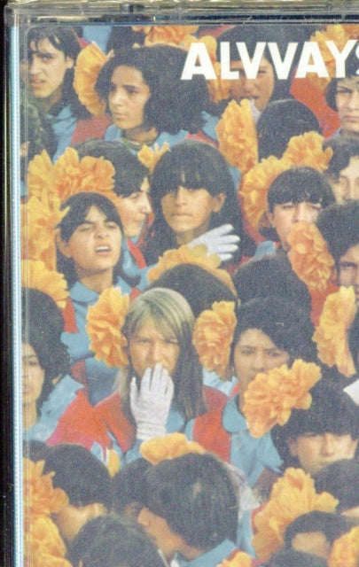 Alvvays