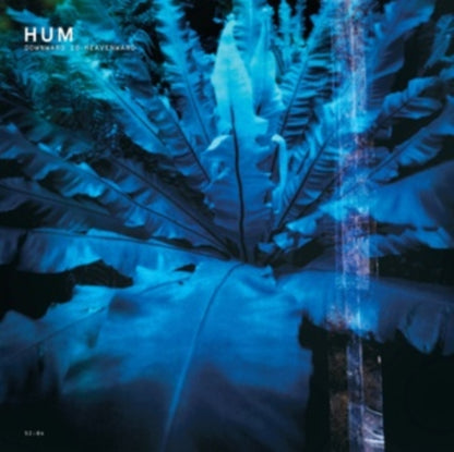 This is a 2 LP Vinyl SKU bundle.
1.This LP Vinyl is brand new.Format: LP VinylMusic Style: Alternative RockThis item's title is: Downward Is Heavenward (2LP)Artist: HumLabel: Earth Analog RecordsBarcode: 644110507013Release Date: 12/15/2023
2.This LP Vinyl is brand new.