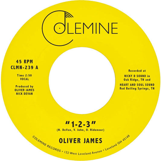 1-2-3 / Nothing Is Forever (Dark Blue 7Inch)