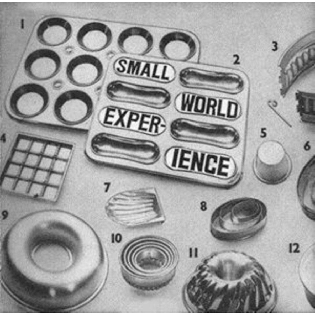 Shelf-Life