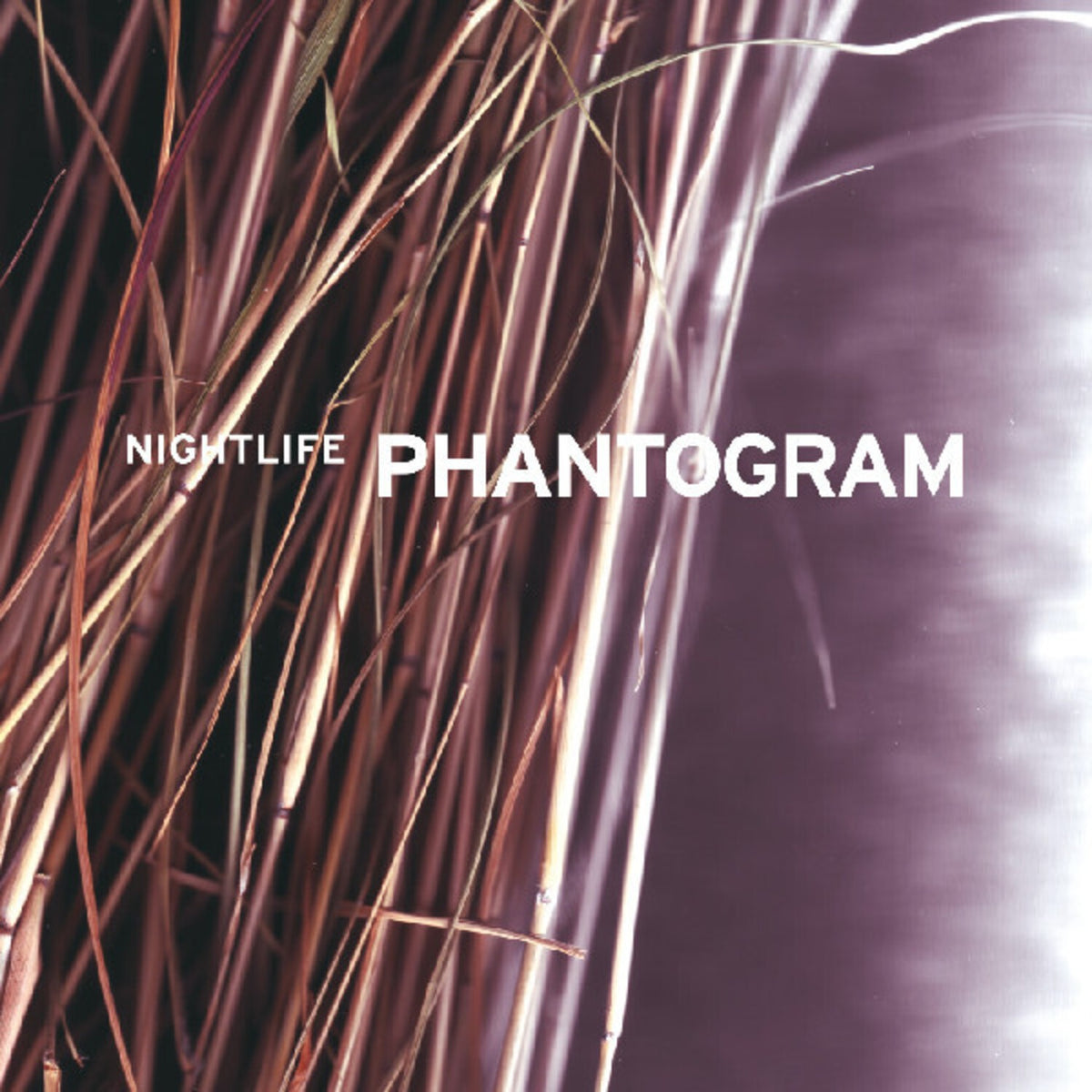Nightlife (Purple Wave LP Vinyl)