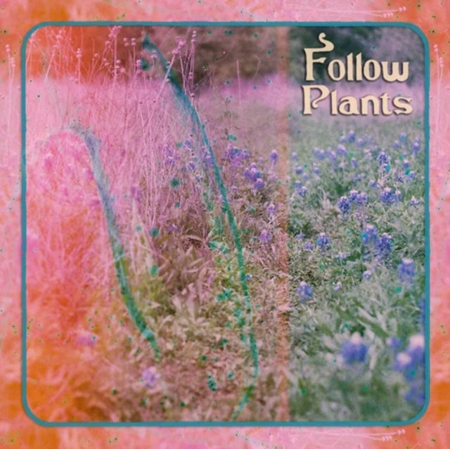 This Music Cassette is brand new.Format: Music CassetteThis item's title is: Follow PlantsArtist: LimaloBarcode: 656382194600Release Date: 5/20/2022