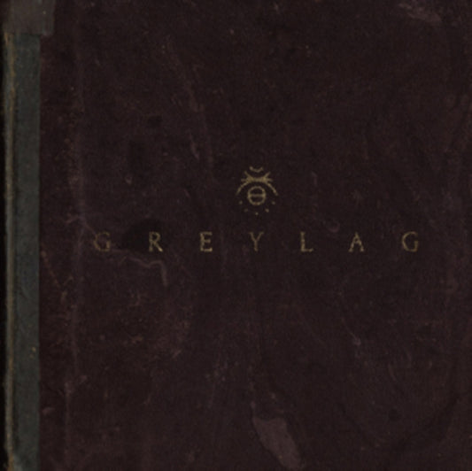 Greylag