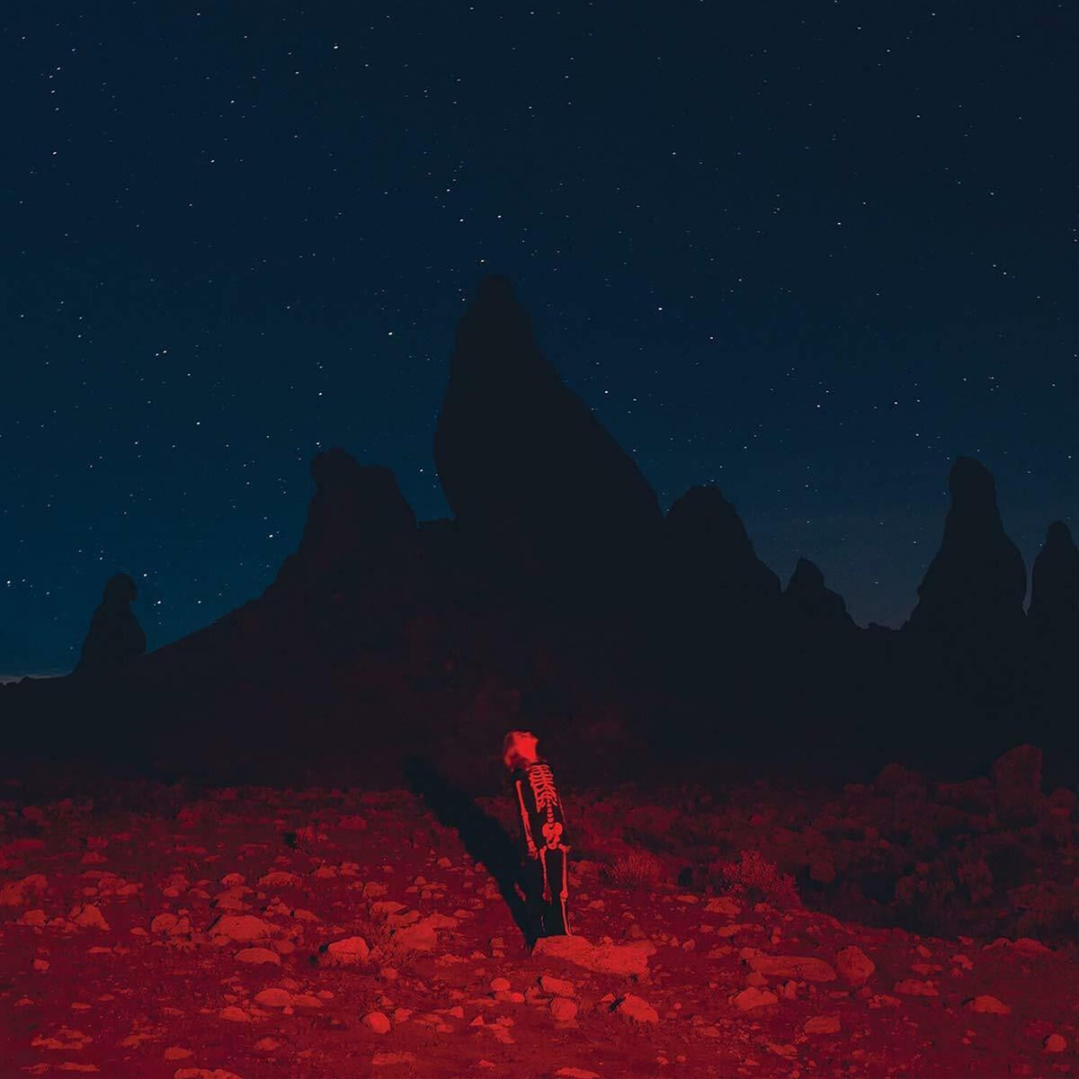 Phoebe Bridgers - Stranger In The Alps & Punisher - LP Vinyl Bundle