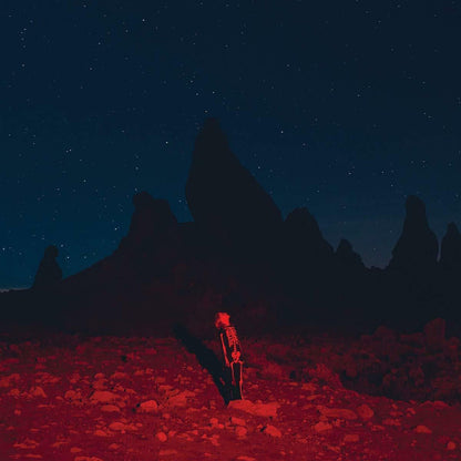 Phoebe Bridgers - Stranger In The Alps & Punisher - LP Vinyl Bundle