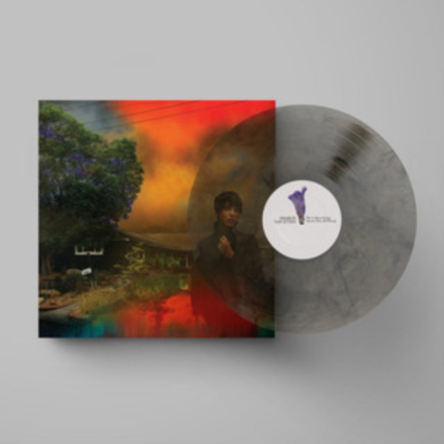 This LP Vinyl is brand new.Format: LP VinylMusic Style: Indie RockThis item's title is: We've Been Going About This All Wrong (Marbled Smoke LP Vinyl)Artist: Sharon Van EttenLabel: JAGJAGUWARBarcode: 656605239538Release Date: 5/6/2022