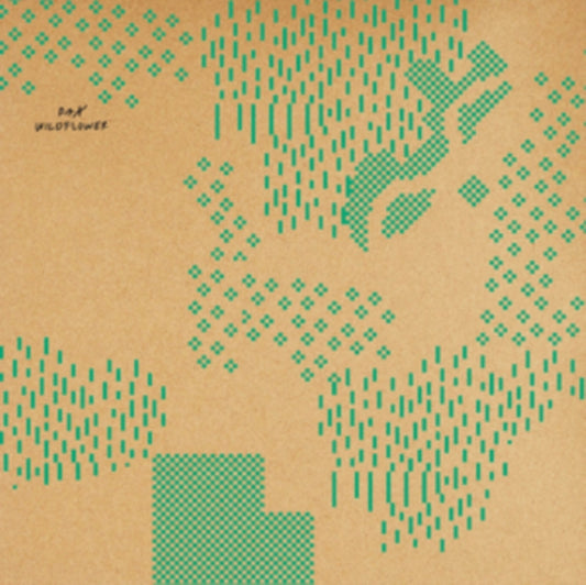 This LP Vinyl is brand new.Format: LP VinylMusic Style: InstrumentalThis item's title is: WildflowerArtist: PaxLabel: PAXICO RECORDSBarcode: 659123098410Release Date: 3/16/2018