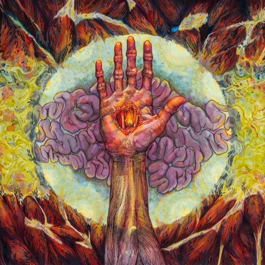 Abscess Time (2LP/Random Vinyl)