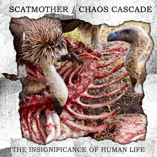 This CD is brand new.Format: CDMusic Style: Power ElectronicsThis item's title is: Insignificance Of Human LifeArtist: Scatmother & Chaos CascadeLabel: Dunkelheit ProduktionenBarcode: 662425110643Release Date: 12/15/2023