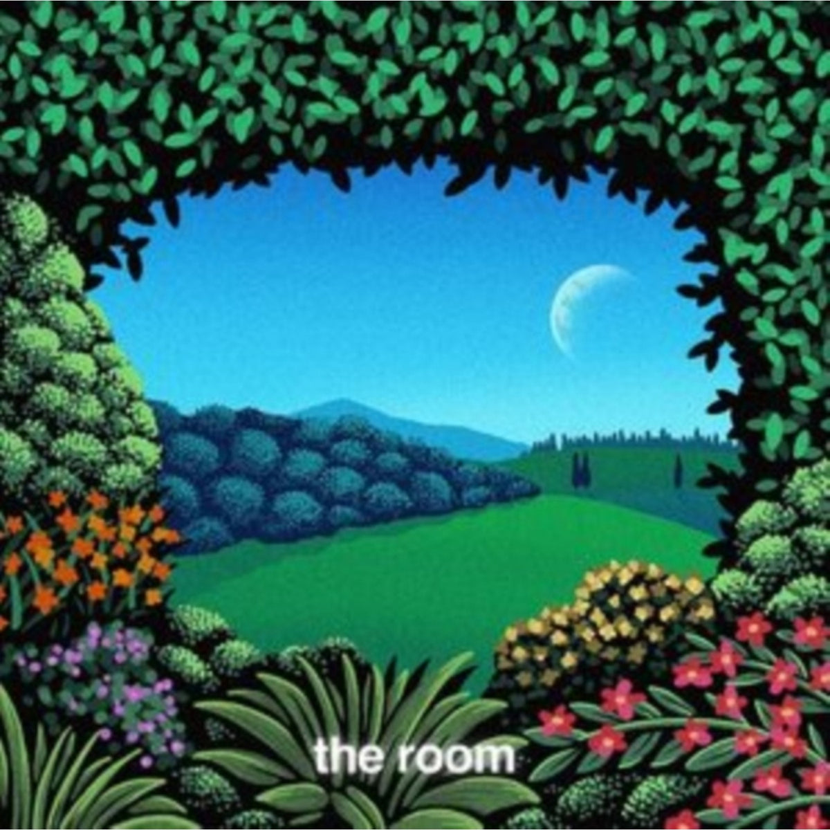 Room (Turquoise Wave LP Vinyl)