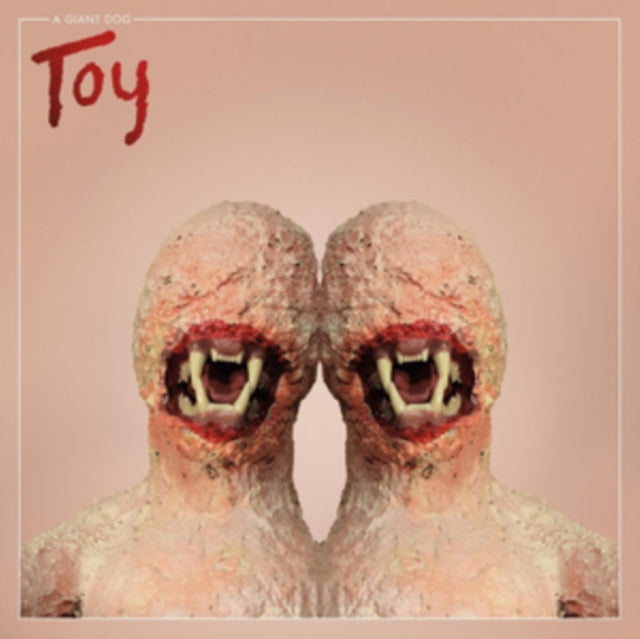Toy